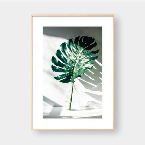 MONSTERA IN THE BOTTLE