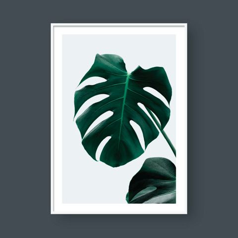 MONSTERA LEAF NO.3