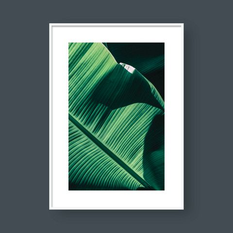 BANANA LEAVES