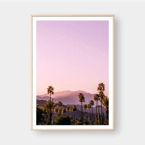PALM TREES NO.3
