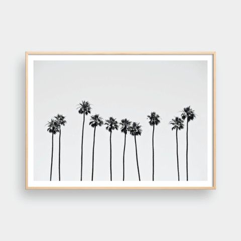 PALM TREES NO.1