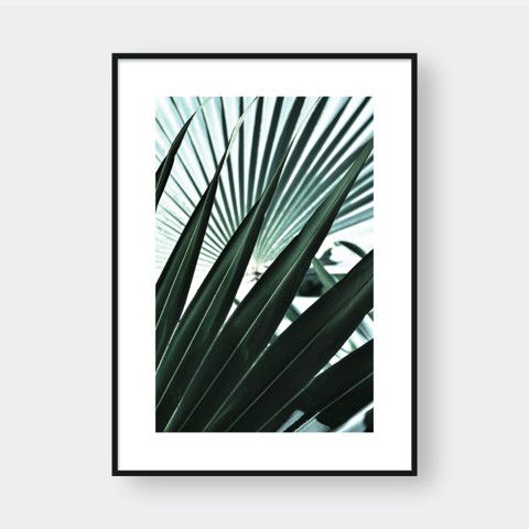 PALM LEAVES NO.1