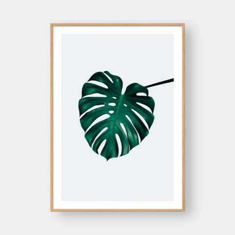 MONSTERA LEAF NO.2