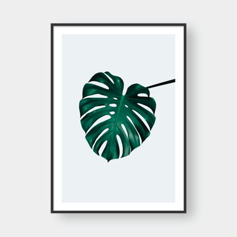 MONSTERA LEAF NO.2