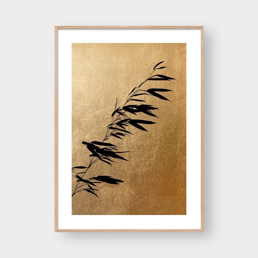 BAMBOO AND GOLDEN