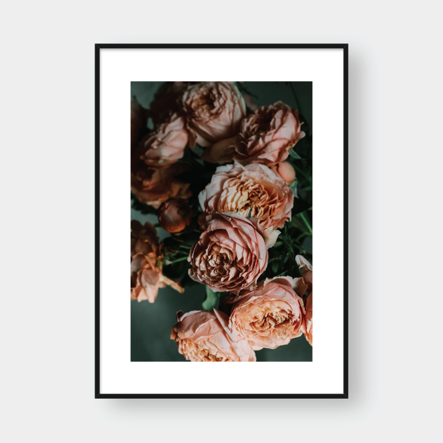 BLOSSOM NO.2