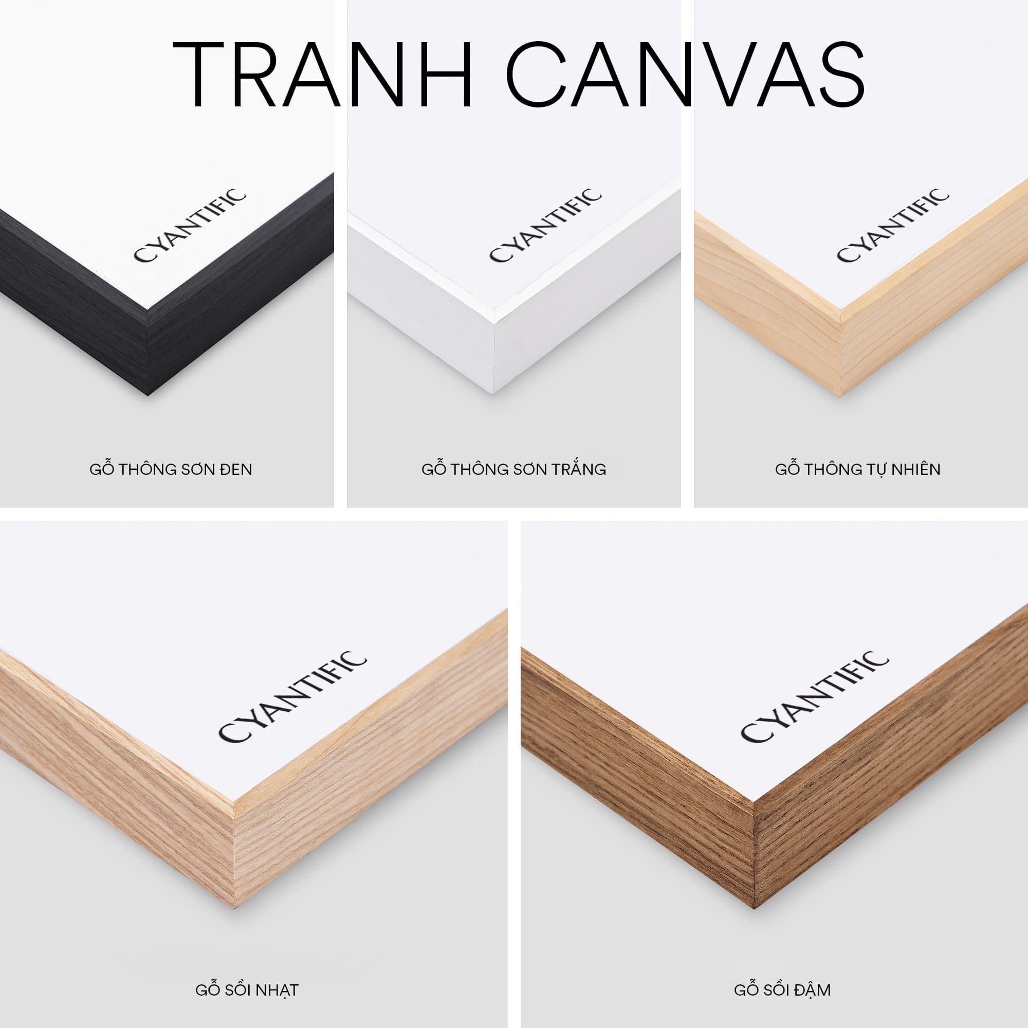 TERRACOTTA COLOR SET NO.12