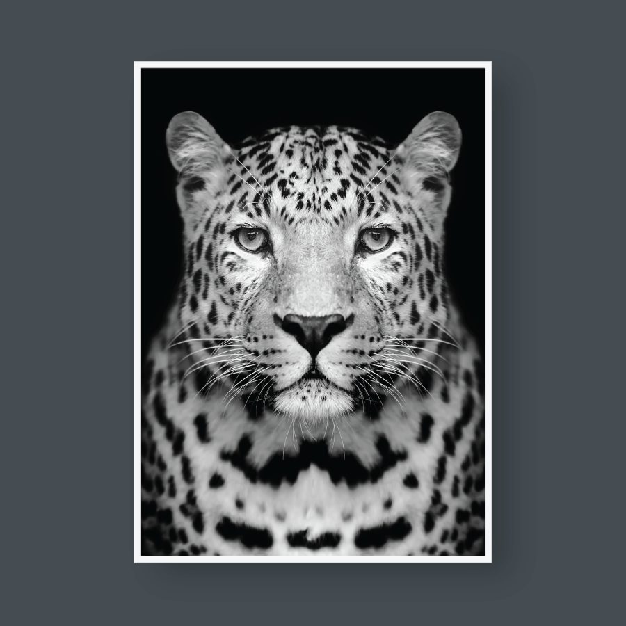 CHEETAH BLACK & WHITE