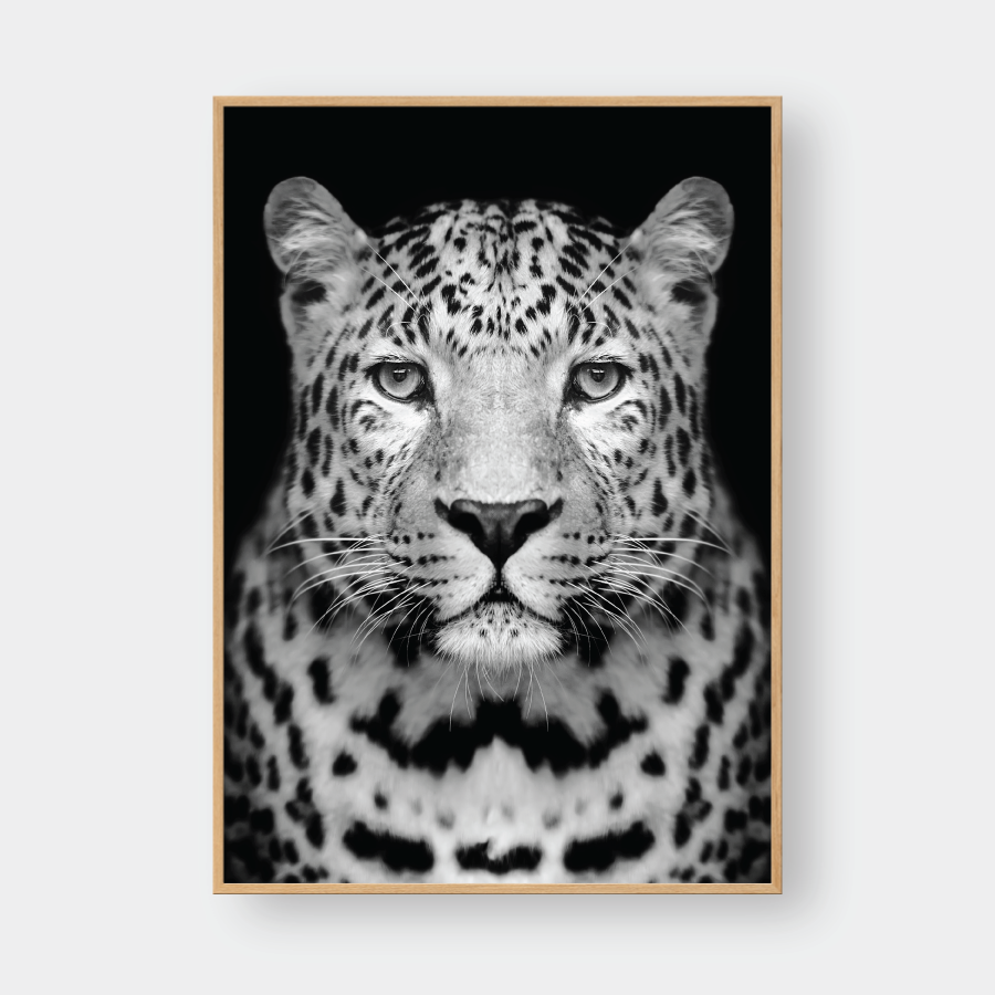 CHEETAH BLACK & WHITE