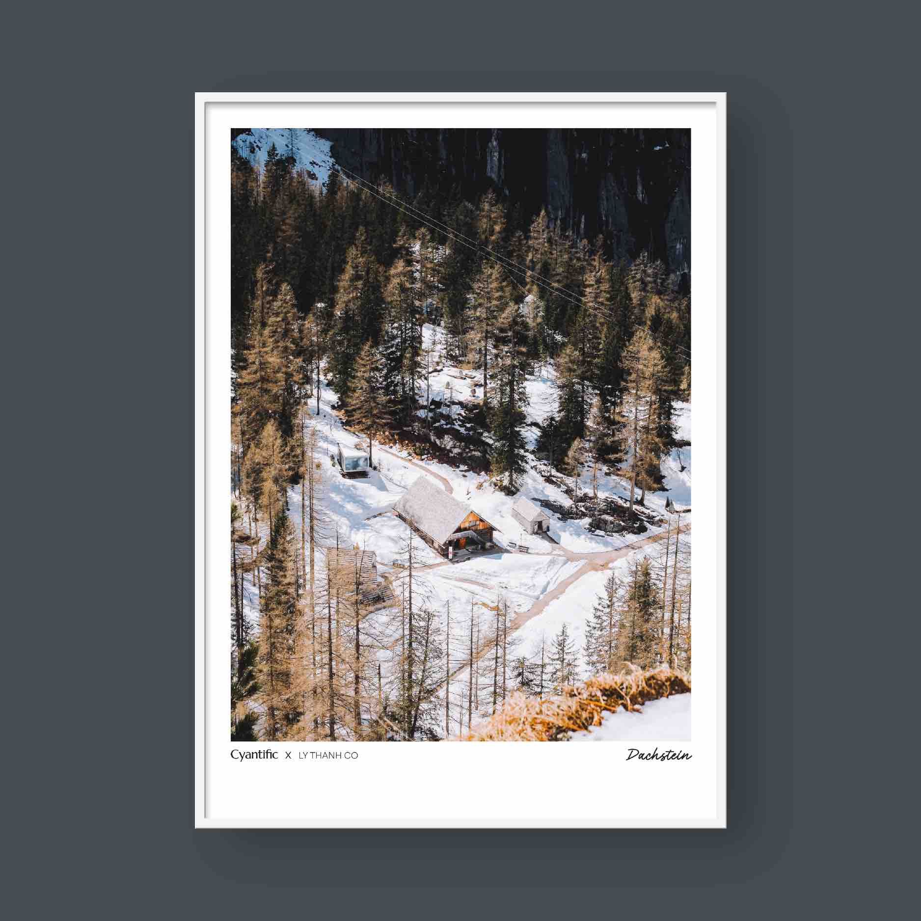 DACHSTEIN 03