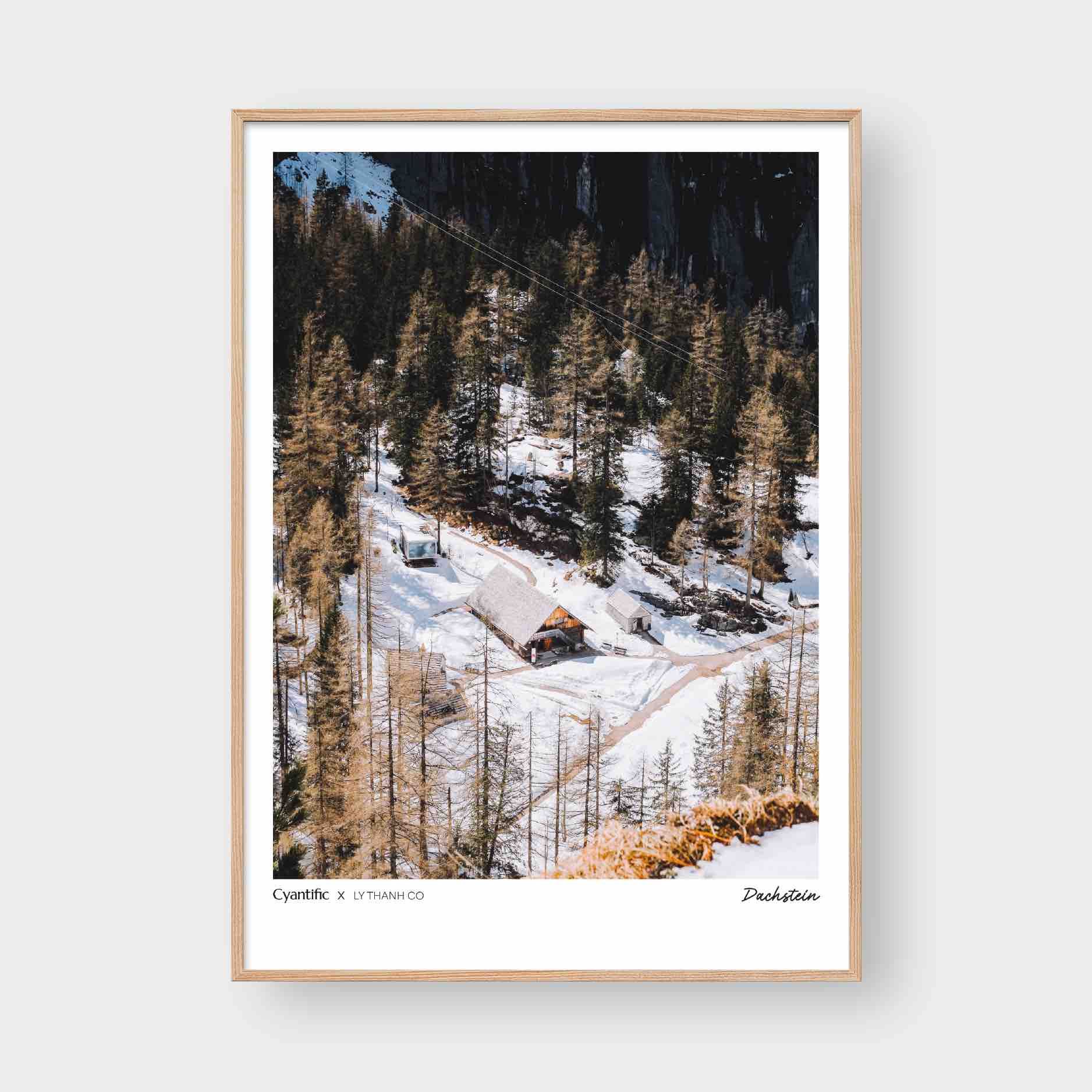 DACHSTEIN 03