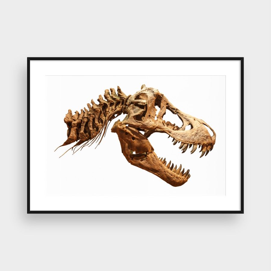 T-REX HEAD