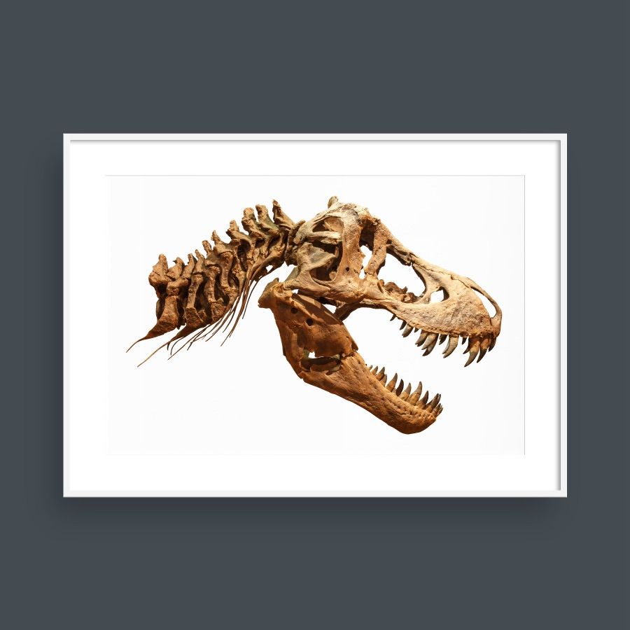 T-REX HEAD