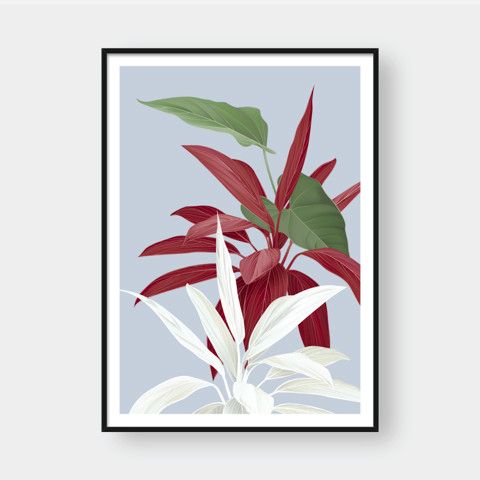 BOTANICAL NO.1