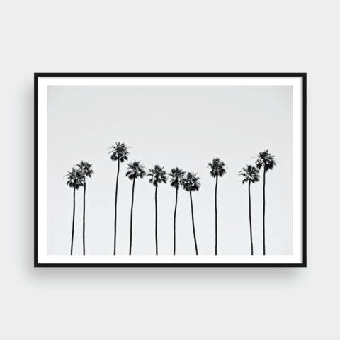 PALM TREES NO.1