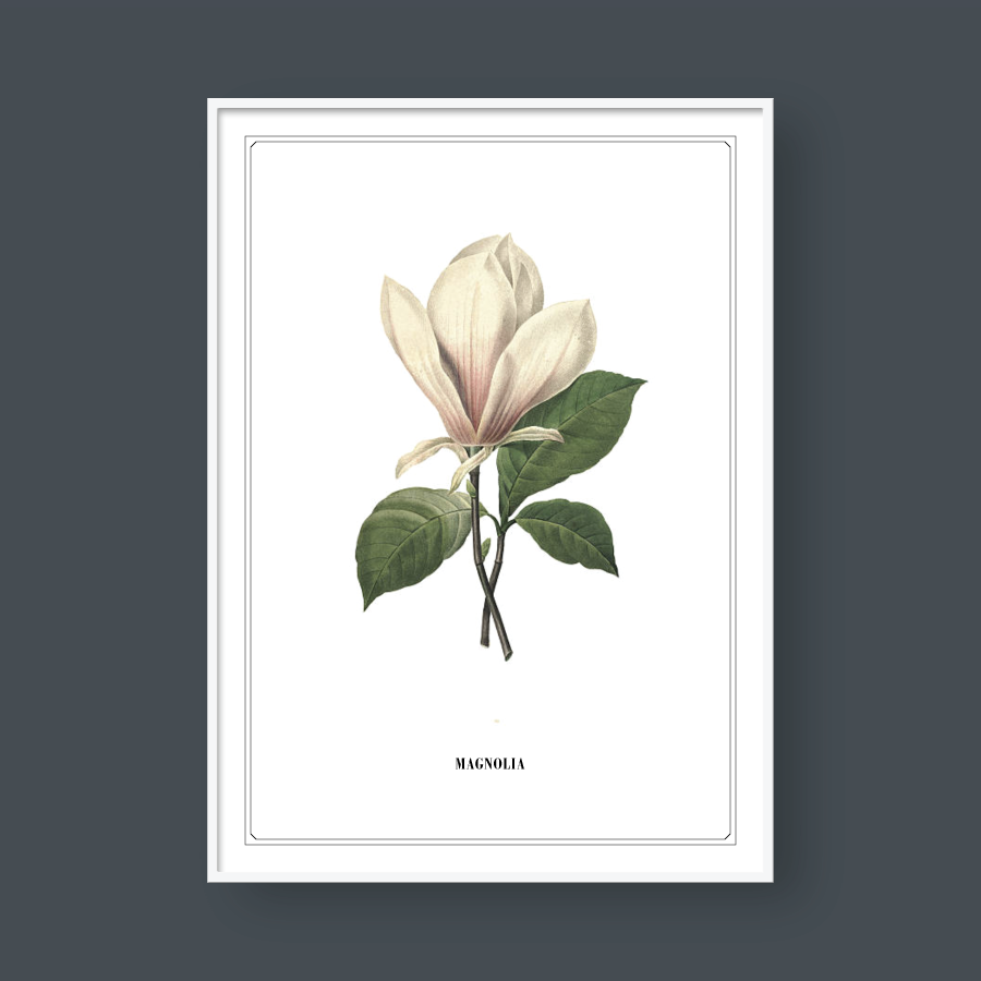 FLOWER SERIES NO.1