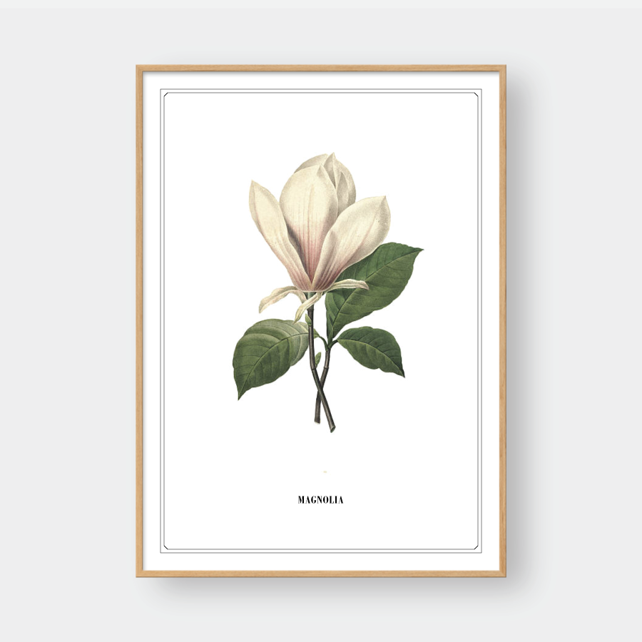FLOWER SERIES NO.1