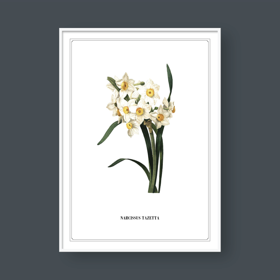 FLOWER SERIES NO.6