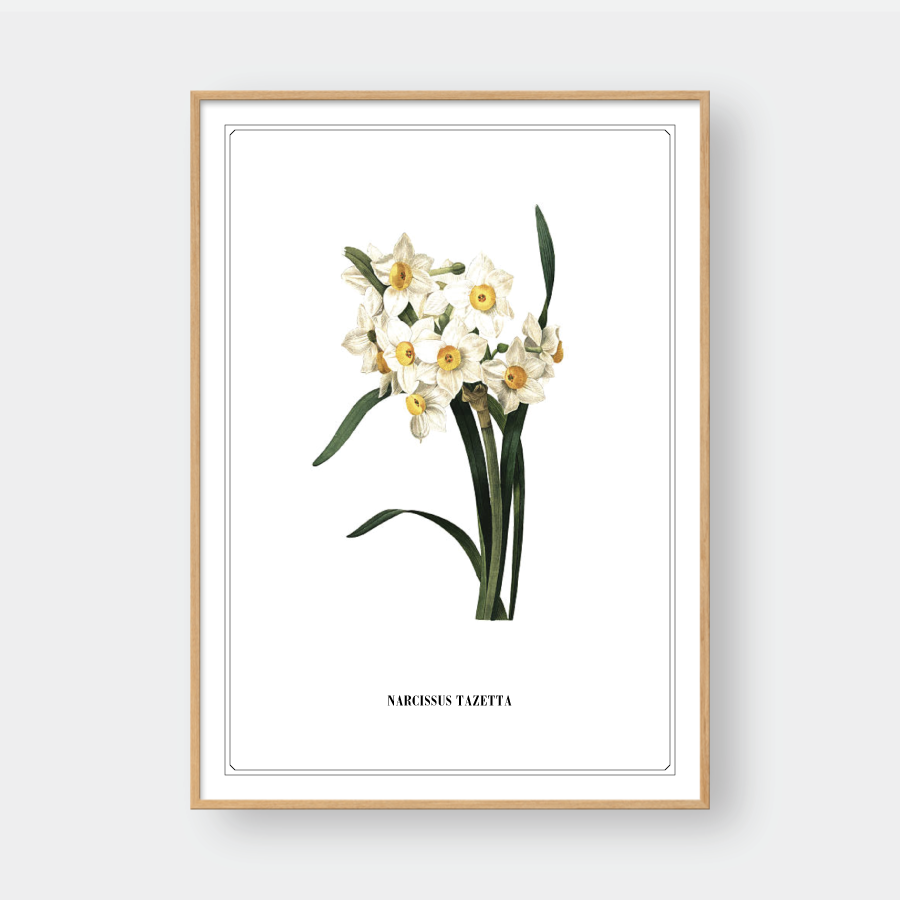 FLOWER SERIES NO.6