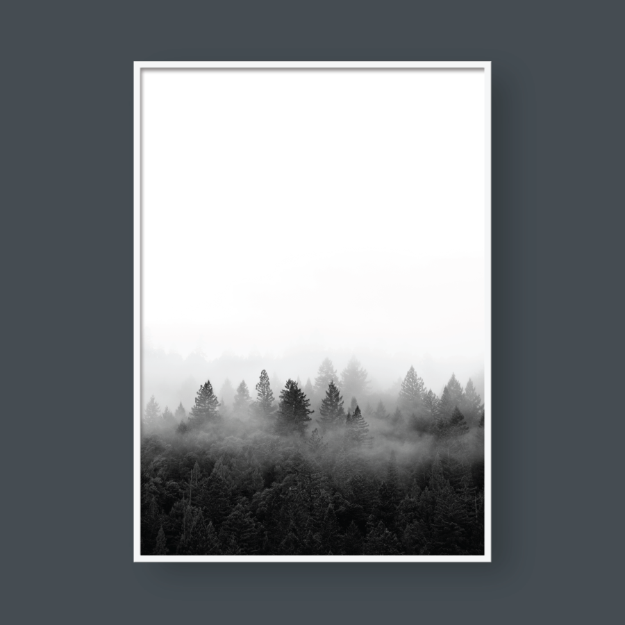FOGGY FOREST NO.3