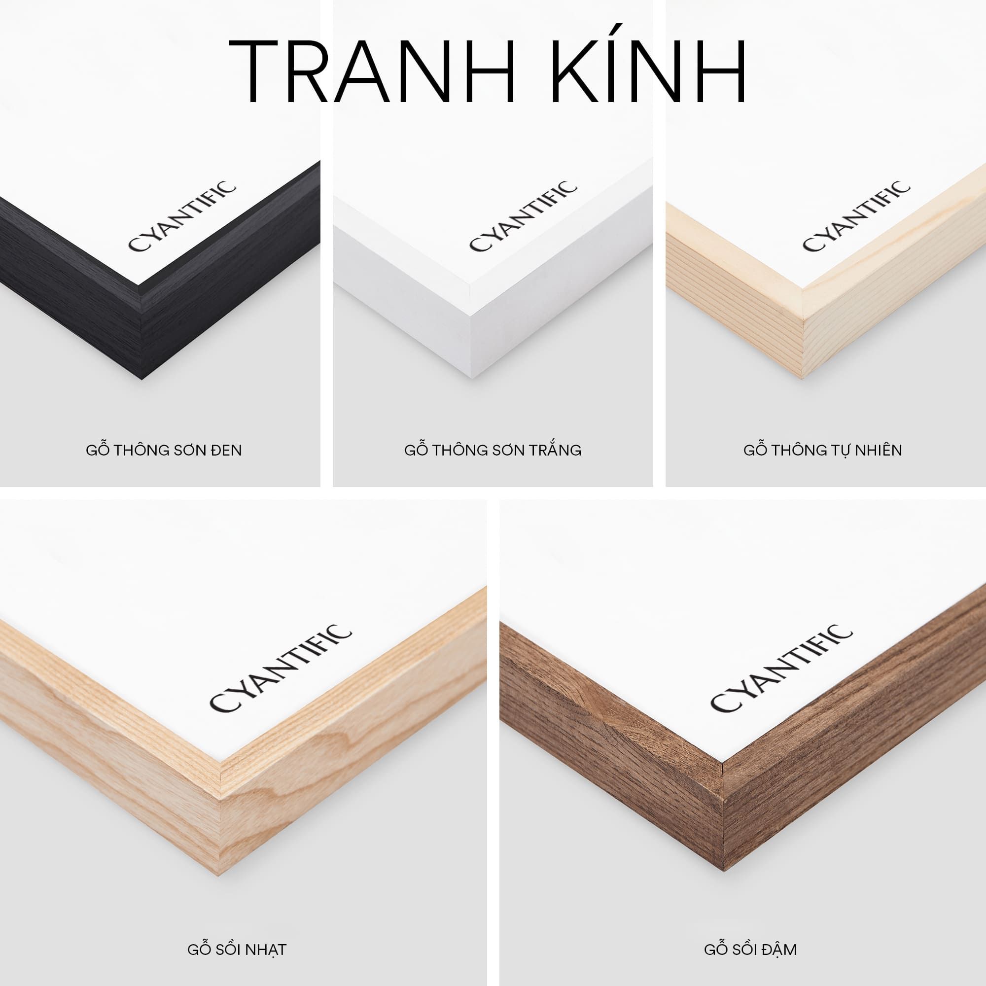 TREE RINGS SET 01