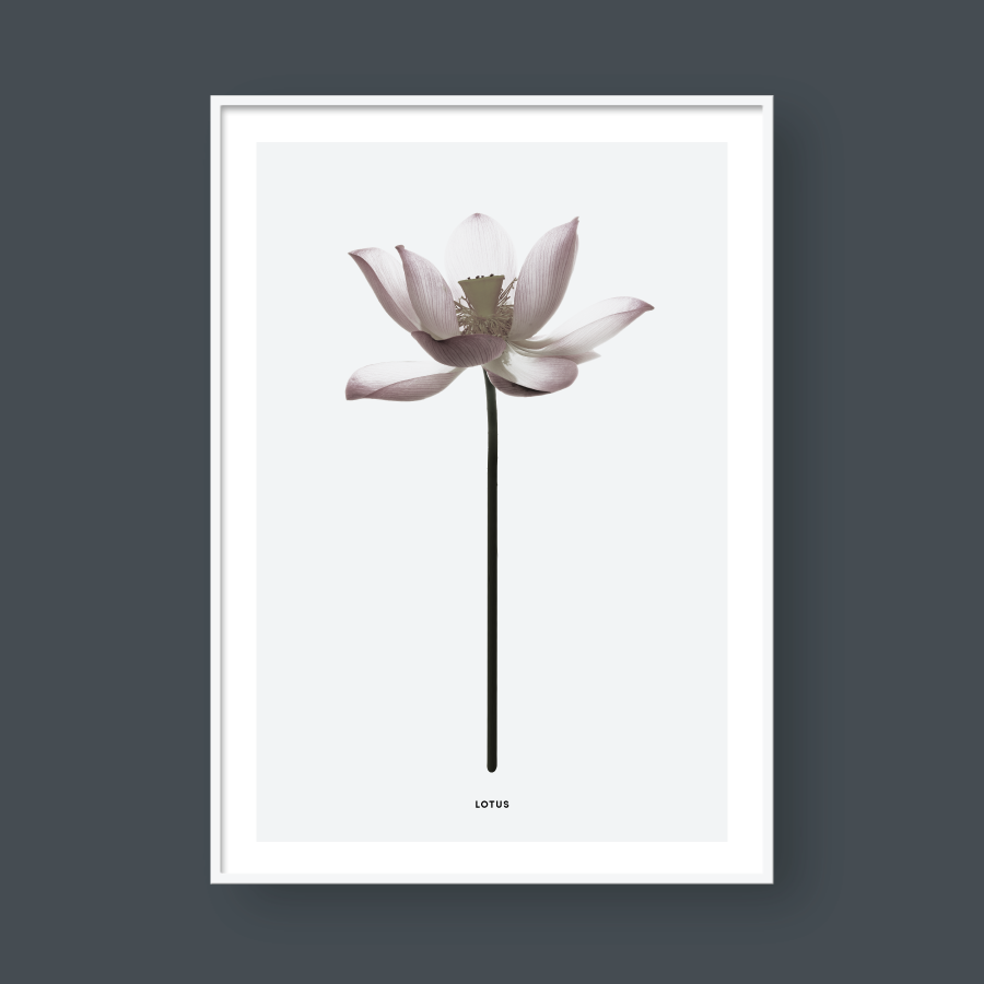 LOTUS FLOWER