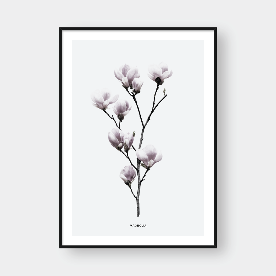 MAGNOLIA FLOWER NO.1