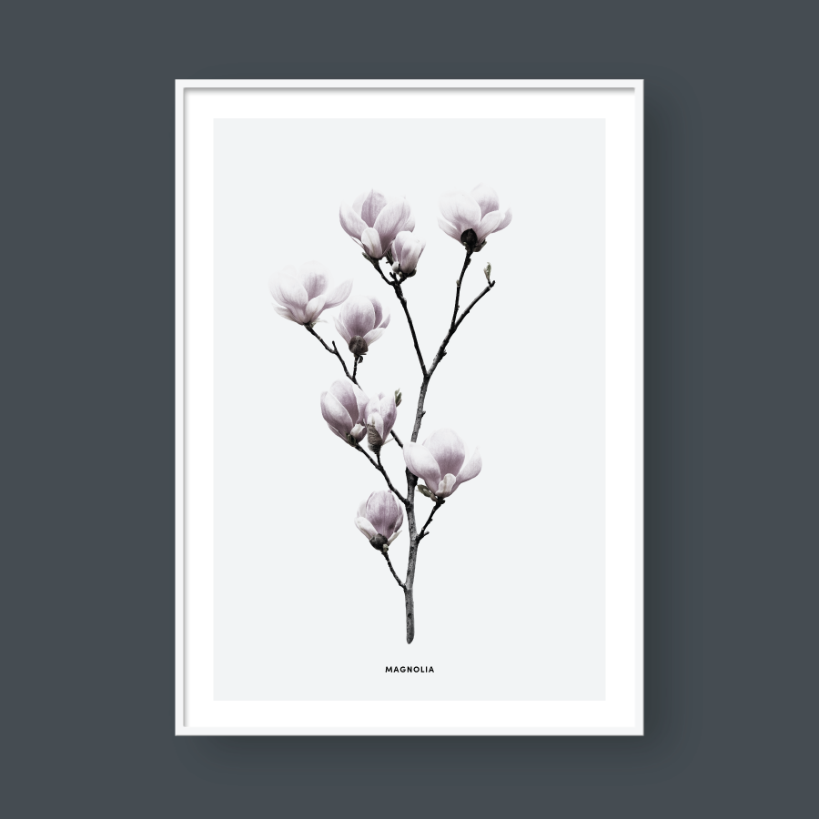 PURITY SET 02