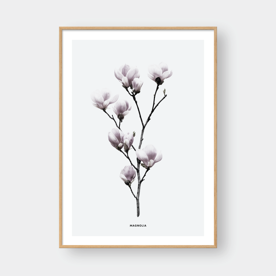 MAGNOLIA FLOWER NO.1