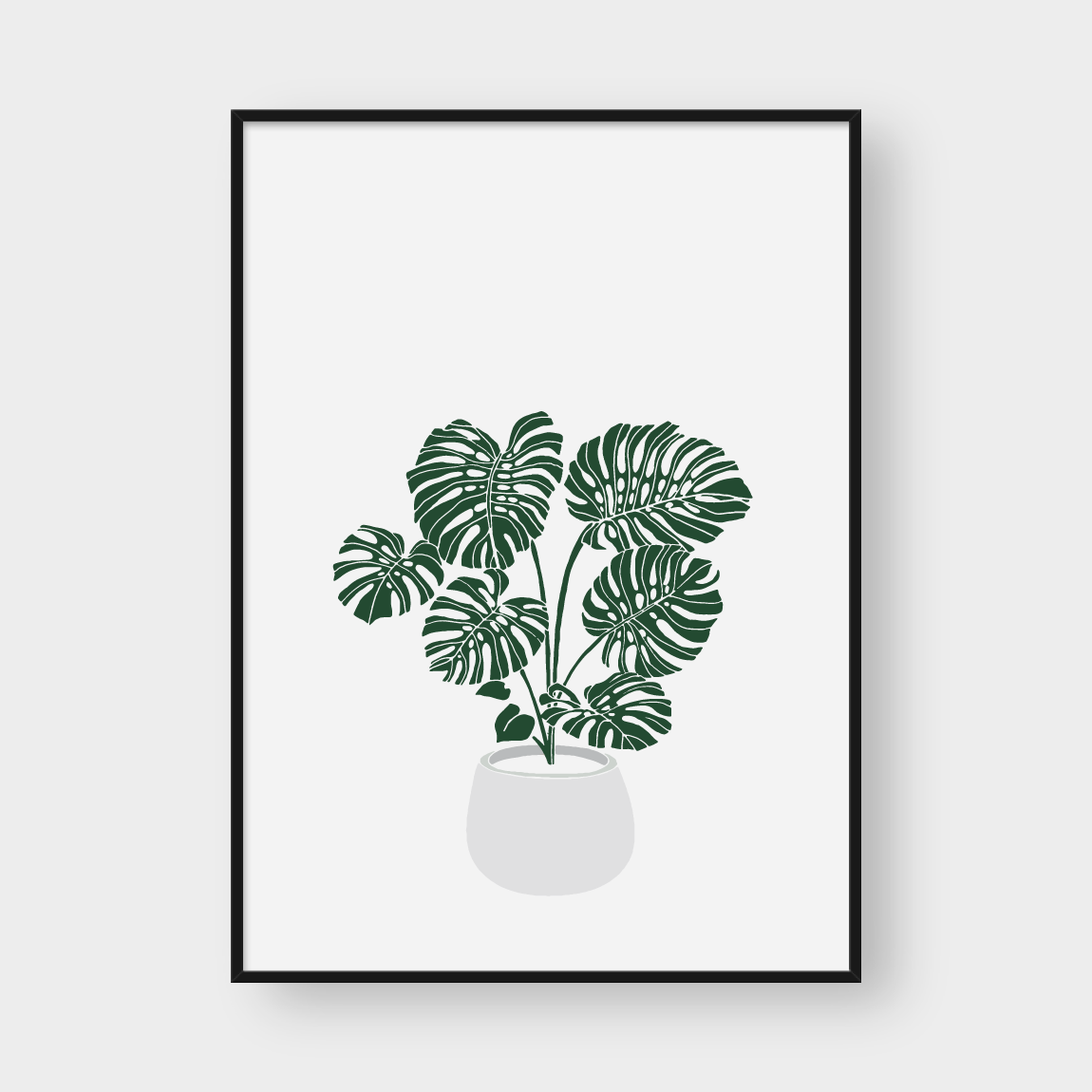 MONSTERA POT