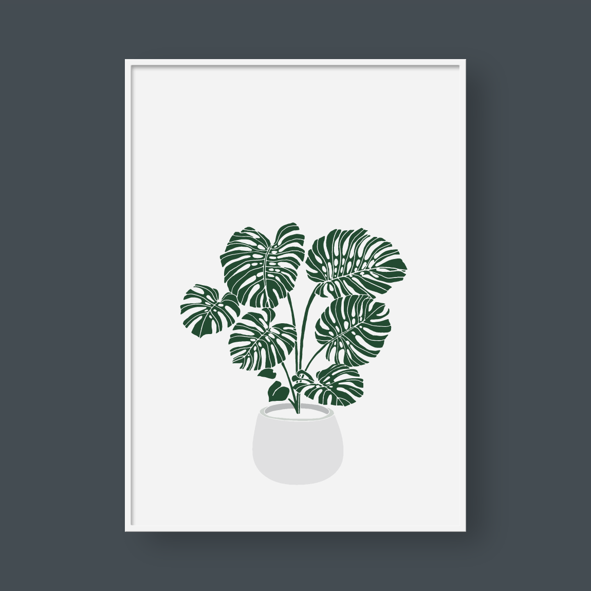 MONSTERA POT