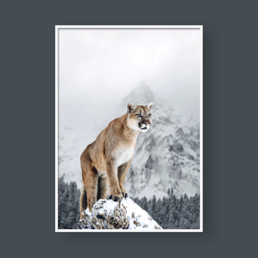 MOUNTAIN LION