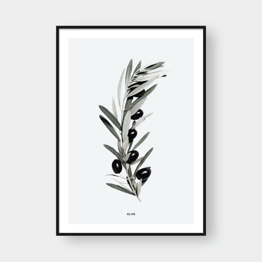 OLIVE BRANCH