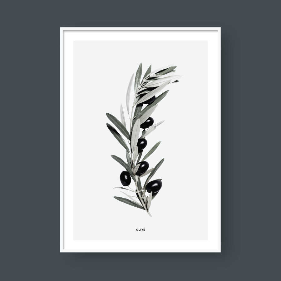 OLIVE BRANCH