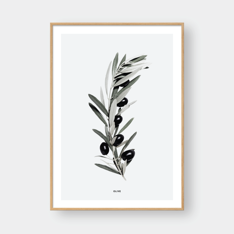 OLIVE BRANCH