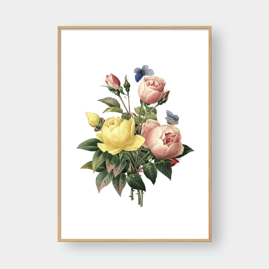 ROSE NO.6