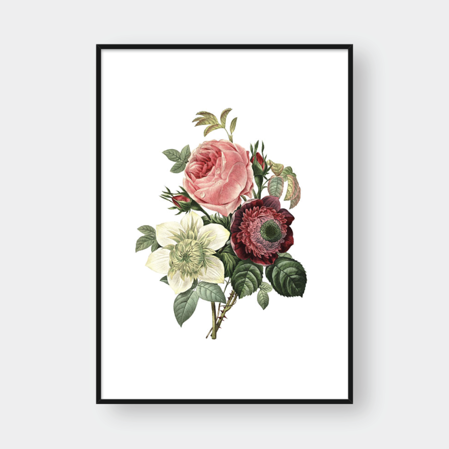 ROSE NO.7
