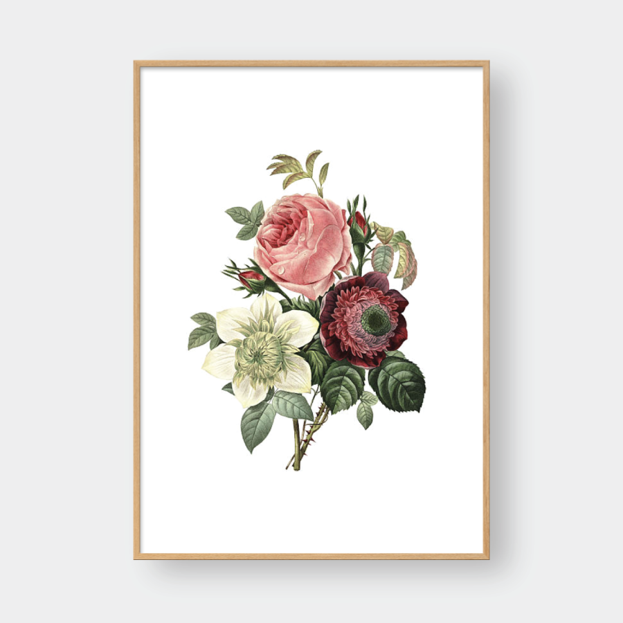 ROSE NO.7