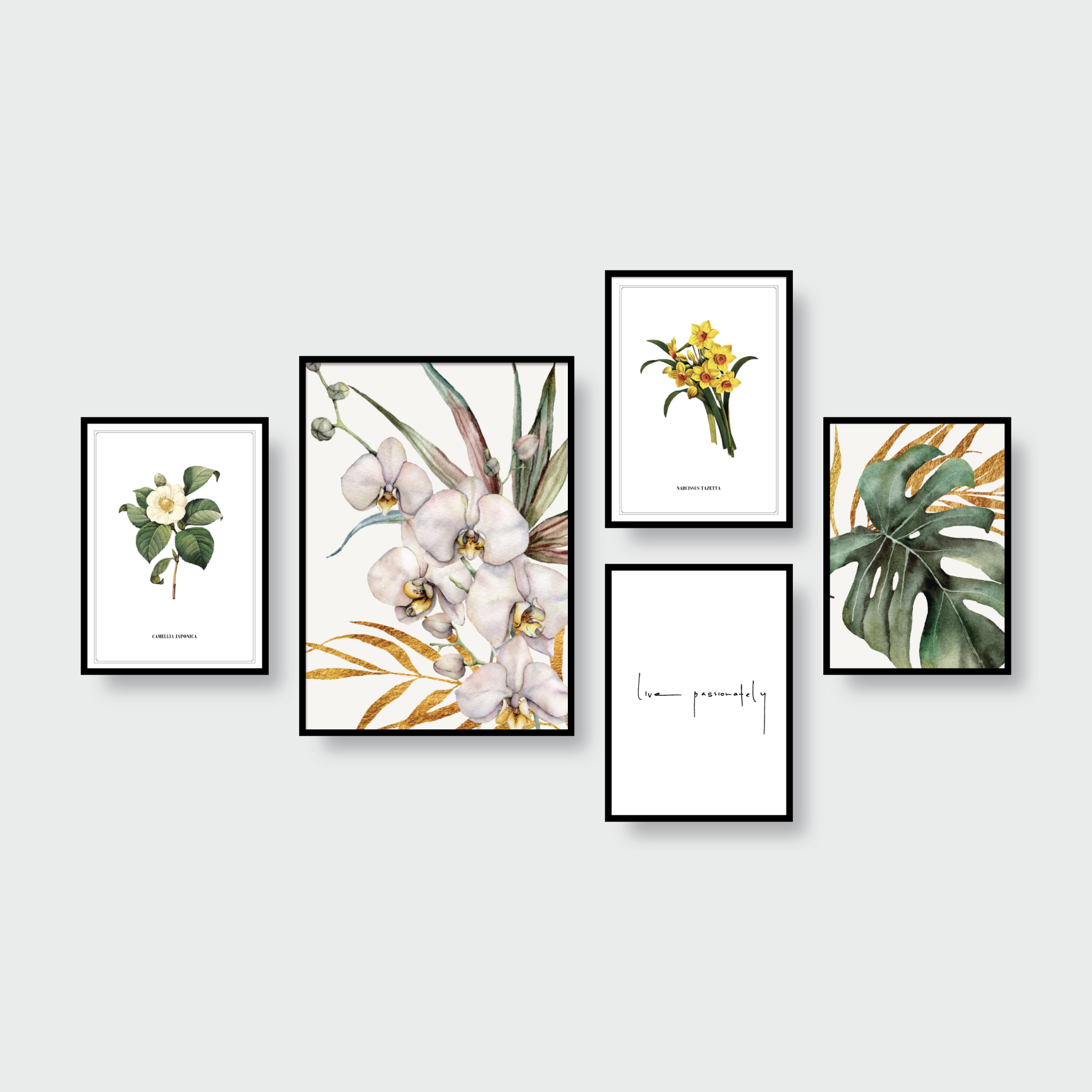 FLOWER SERIES SET