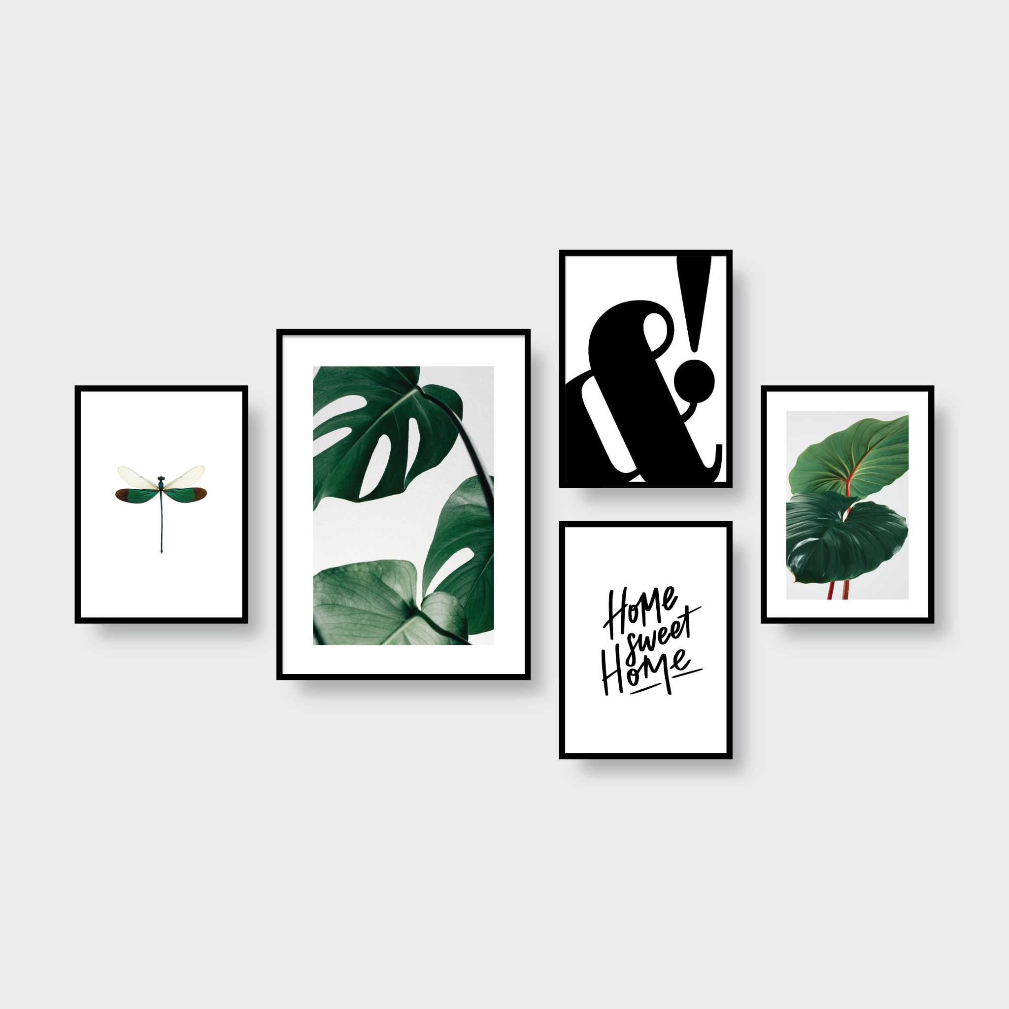 BOTANICAL SET 03