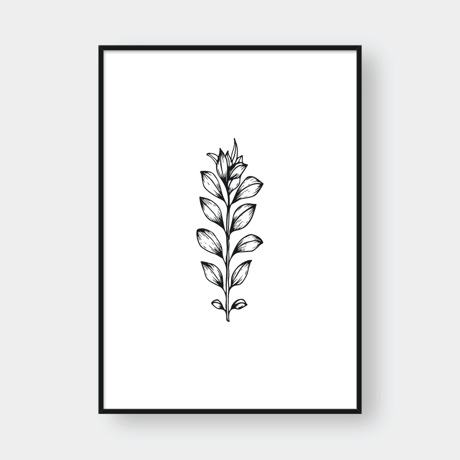SKETCH FLOWER NO.1