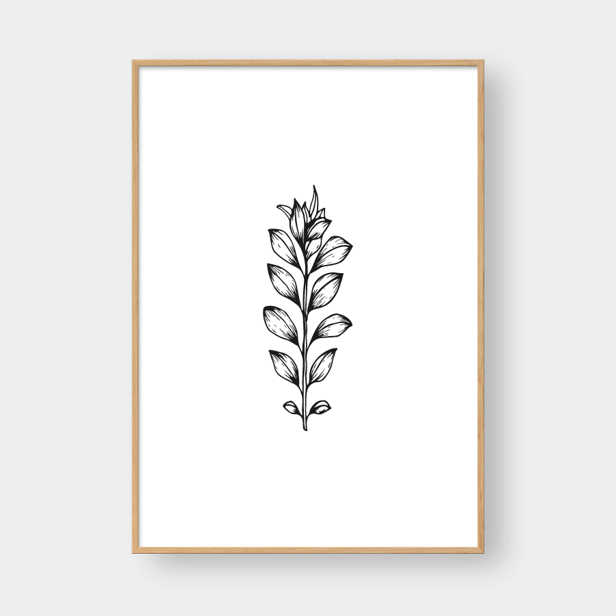 SKETCH FLOWER NO.1