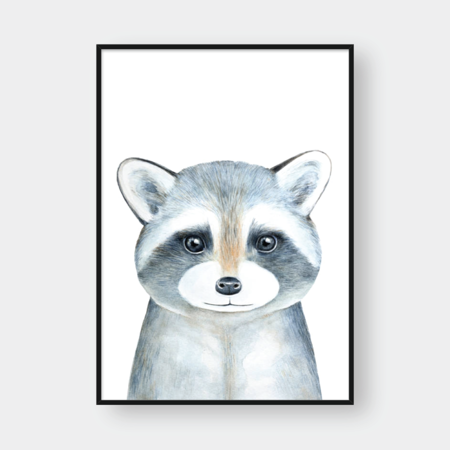 SKETCH RACOON