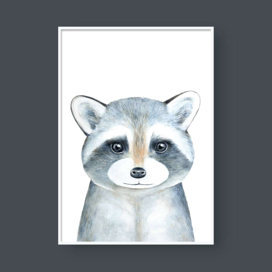 SKETCH RACOON