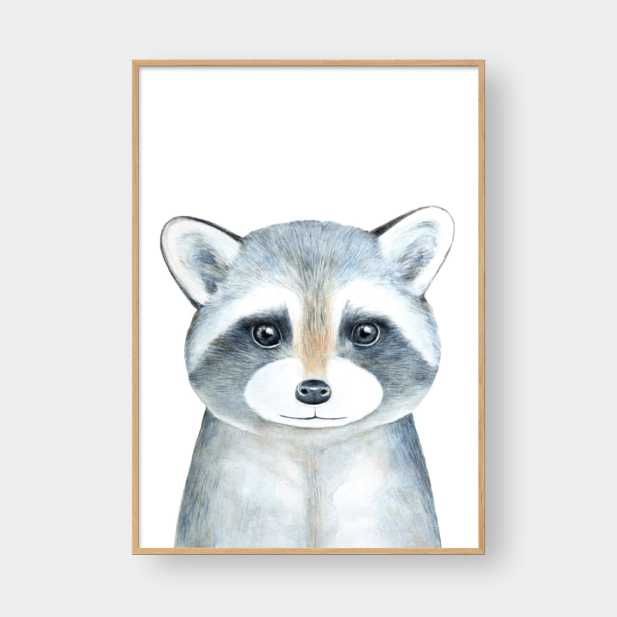 SKETCH RACOON