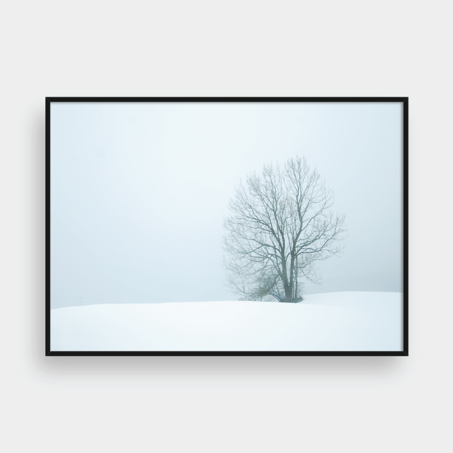 SNOW NO.1