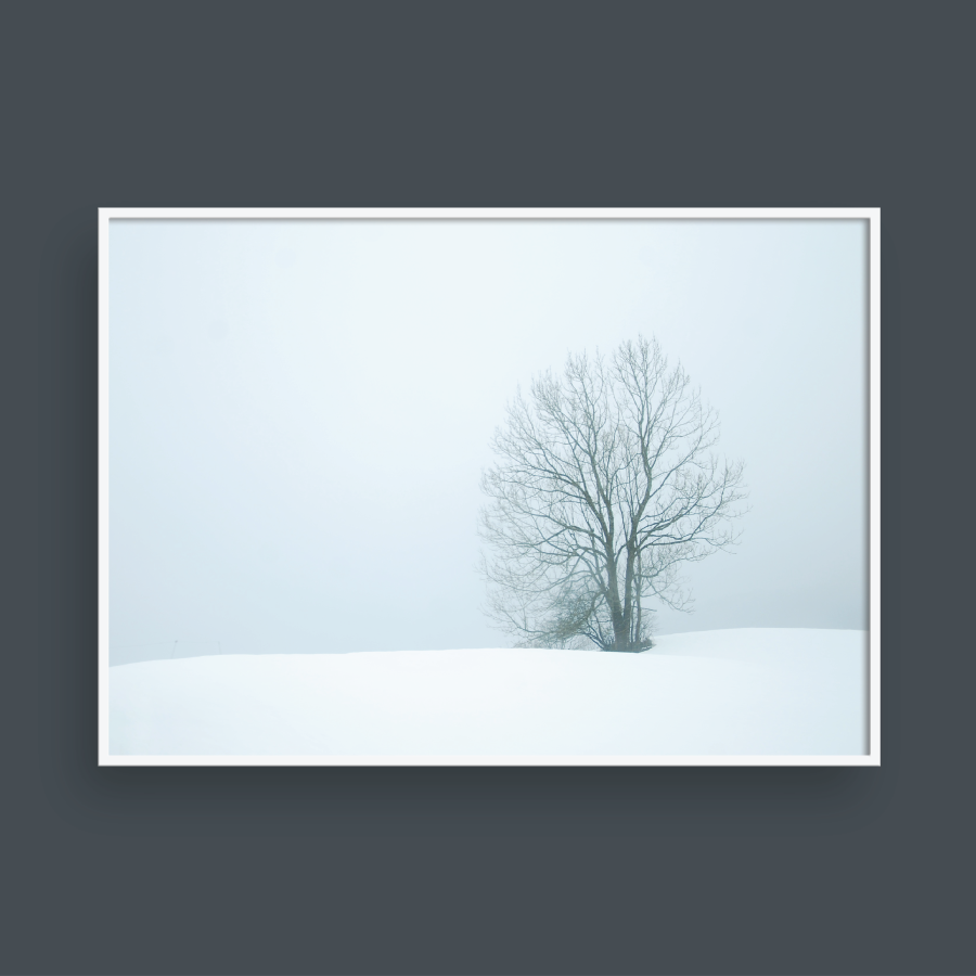 SNOW NO.1