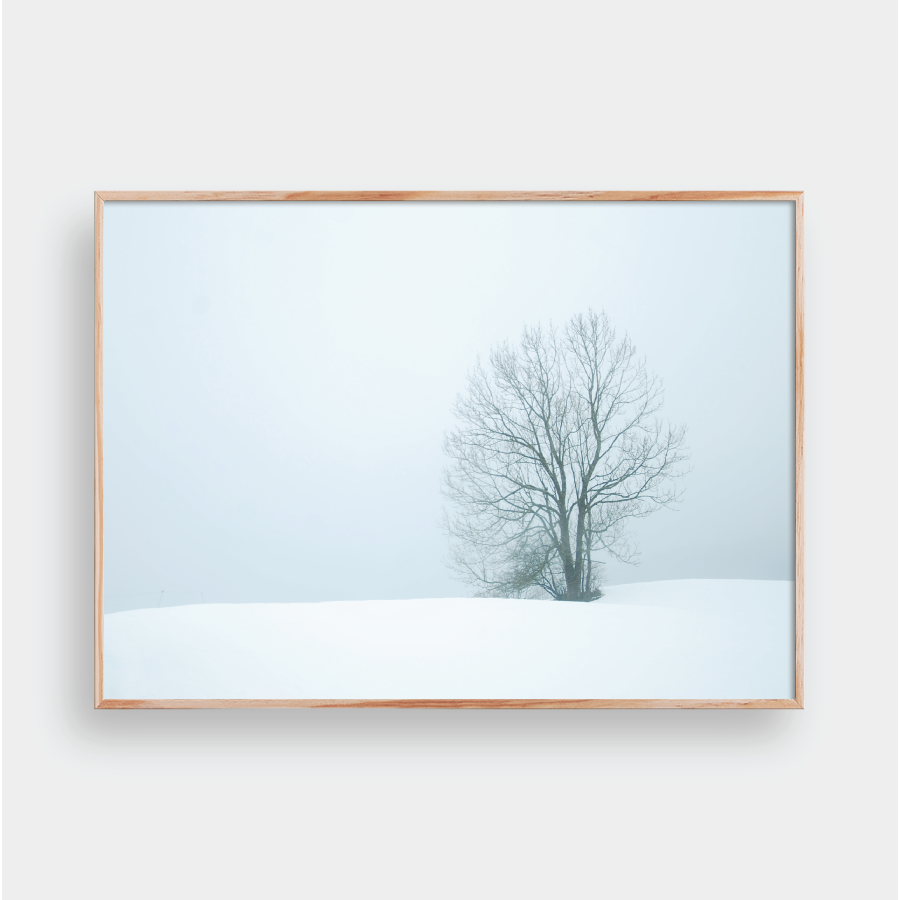 SNOW NO.1