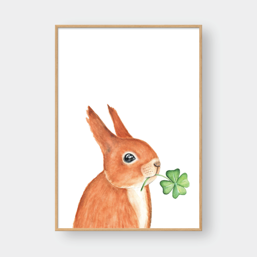 THE SQUIRREL NO.01