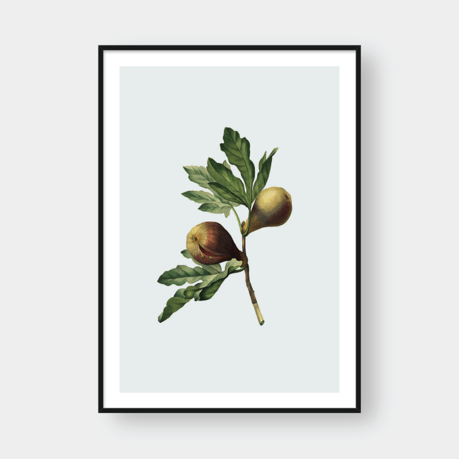 THE FIG